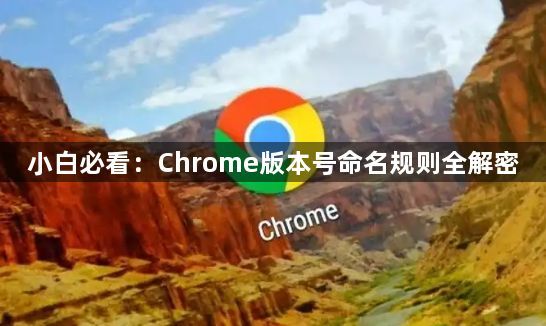 小白必看：Chrome版本号命名规则全解密1