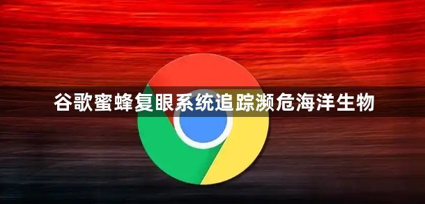 谷歌蜜蜂复眼系统追踪濒危海洋生物1
