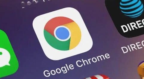 chrome浏览器如何解决网页元素不显示问题
