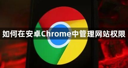 如何在安卓Chrome中管理网站权限1