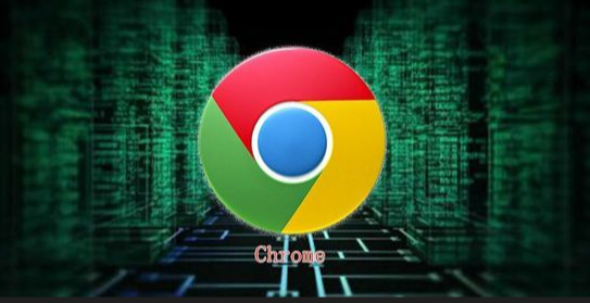 Google浏览器的快速搜索引擎设置 Google浏览器的快速搜索引擎设置