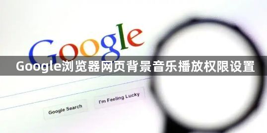 Google浏览器网页背景音乐播放权限设置1