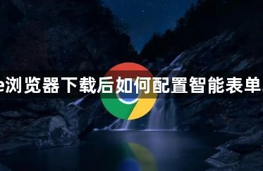 Chrome浏览器下载后如何配置智能表单填写功能1