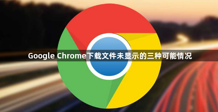 Google Chrome下载文件未显示的三种可能情况1