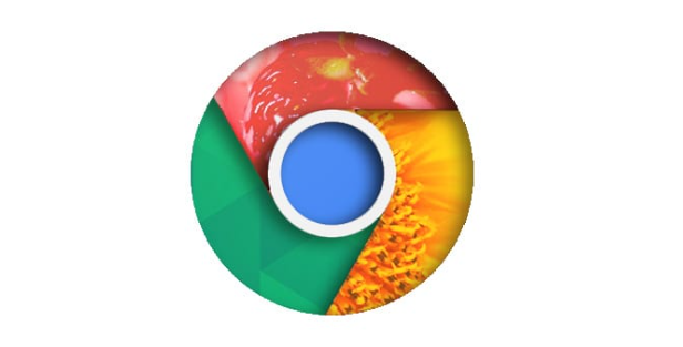 Google Chrome浏览器下载及网页黑屏问题解决方法1