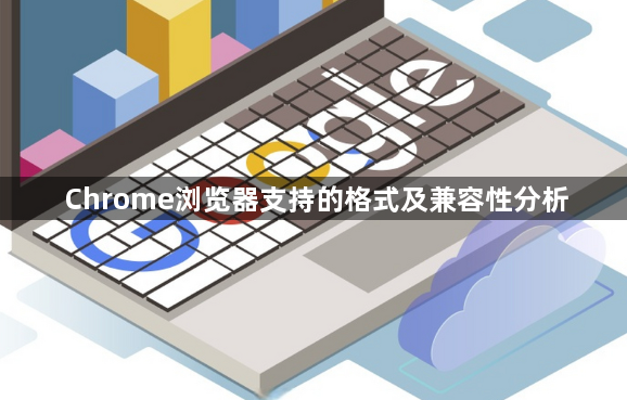 Chrome浏览器支持的格式及兼容性分析1