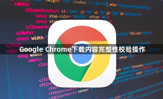 Google Chrome下载内容完整性校验操作1