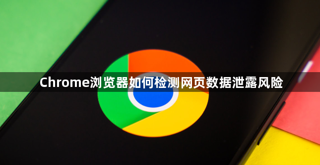Chrome浏览器如何检测网页数据泄露风险1