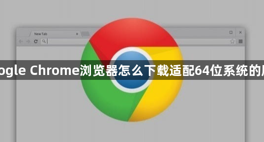 Google Chrome浏览器怎么下载适配64位系统的版本1