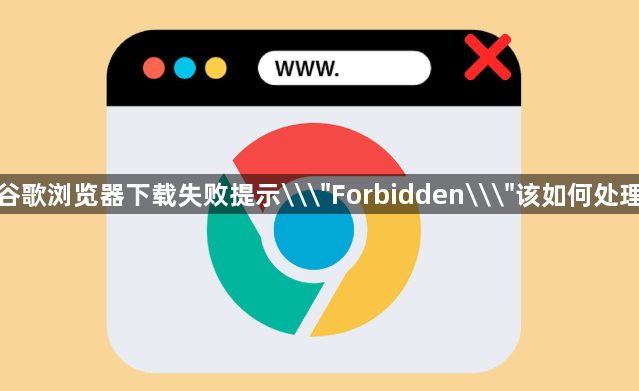 谷歌浏览器下载失败提示\
