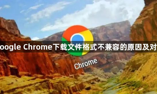 Google Chrome下载文件格式不兼容的原因及对策1