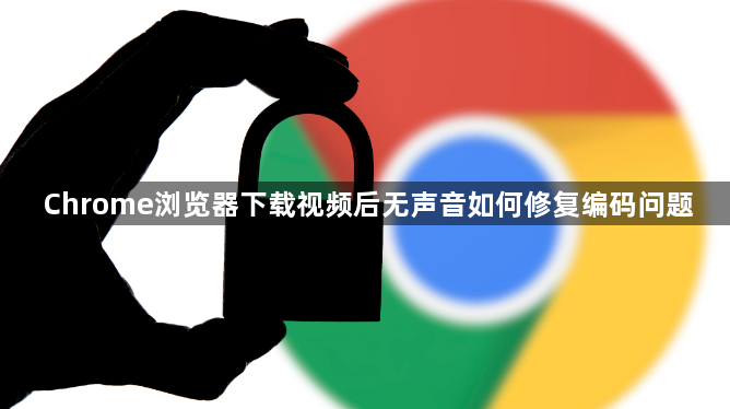 Chrome浏览器下载视频后无声音如何修复编码问题1