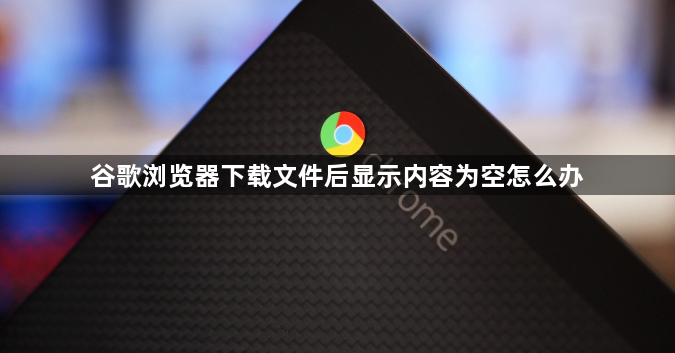 谷歌浏览器下载文件后显示内容为空怎么办1