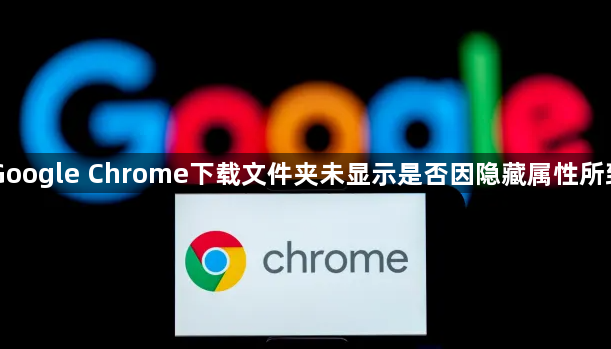 Google Chrome下载文件夹未显示是否因隐藏属性所致1