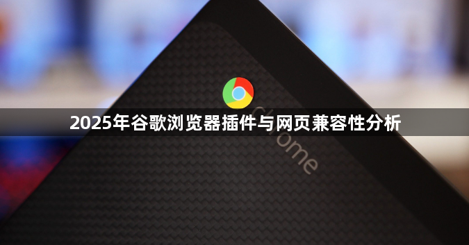 2025年谷歌浏览器插件与网页兼容性分析1