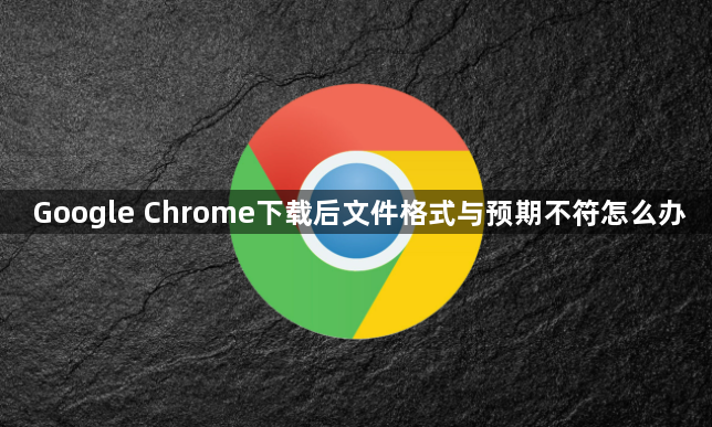 Google Chrome下载后文件格式与预期不符怎么办1