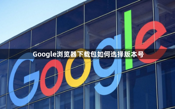 Google浏览器下载包如何选择版本号1