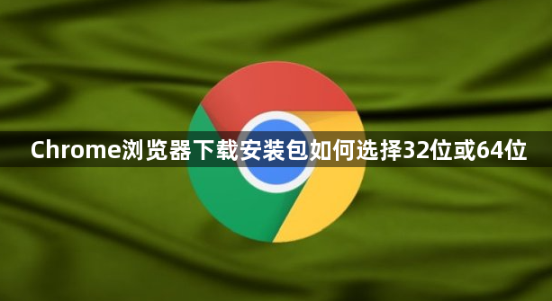 Chrome浏览器下载安装包如何选择32位或64位1