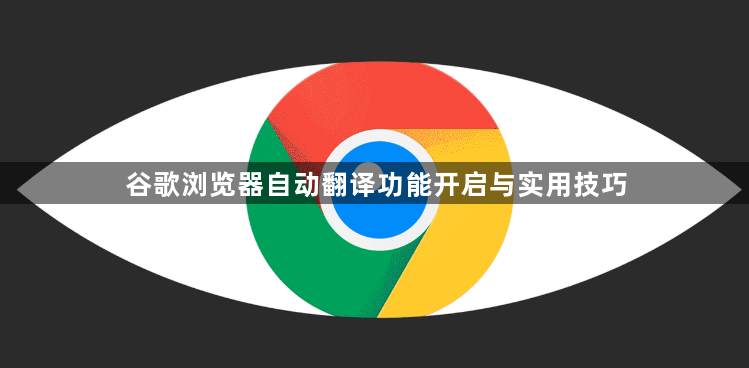 谷歌浏览器自动翻译功能开启与实用技巧1