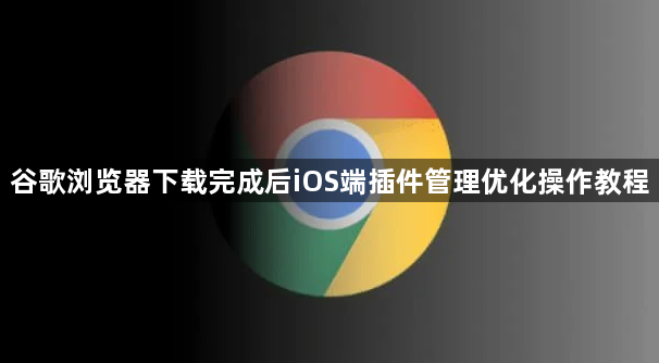 谷歌浏览器下载完成后iOS端插件管理优化操作教程1