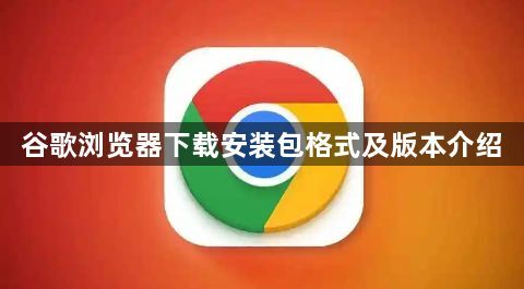 谷歌浏览器下载安装包格式及版本介绍1