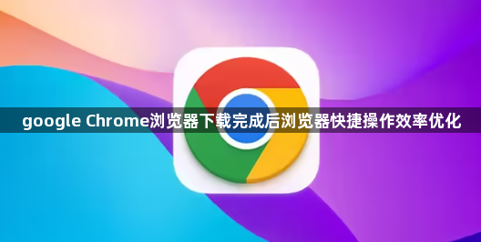 google Chrome浏览器下载完成后浏览器快捷操作效率优化1