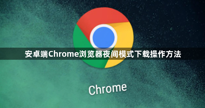安卓端Chrome浏览器夜间模式下载操作方法1