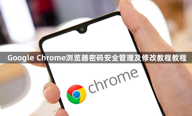 Google Chrome浏览器密码安全管理及修改教程教程1