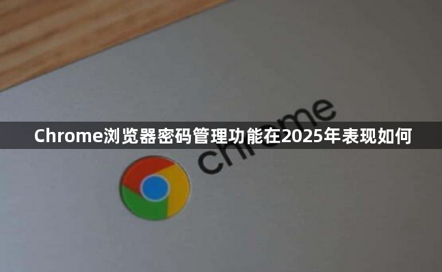 Chrome浏览器密码管理功能在2025年表现如何1