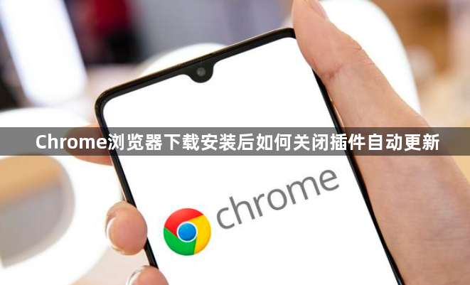 Chrome浏览器下载安装后如何关闭插件自动更新1