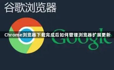 Chrome浏览器下载完成后如何管理浏览器扩展更新1