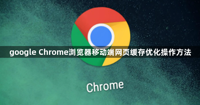 google Chrome浏览器移动端网页缓存优化操作方法1