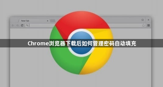 Chrome浏览器下载后如何管理密码自动填充1